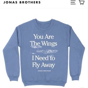 Jonas Brothers sweater